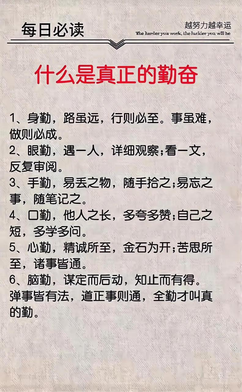 篮球训练脚步垫子_2